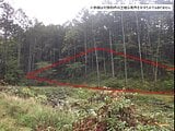 長野県北佐久郡御代田町の官公庁公売物件 66万円 土地 2,156m²