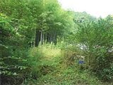 静岡県藤枝市の競売物件 86万円 農地 330m²