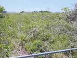 千葉県四街道市の競売物件 1,631万円 土地 27,909m²