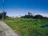 千葉県館山市の競売物件 2,387万円 土地 2,552m²
