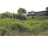 大分県速見郡日出町の競売物件 57万円 農地 1,914m²