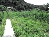群馬県桐生市の競売物件 137万円 土地 1,339m²