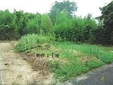 鳥取県米子市の競売物件 45万円 土地 289m²