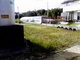 愛知県田原市の競売物件 24万円 農地 452m²
