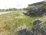富山県砺波市の競売物件 47万円 農地 577m²