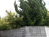兵庫県たつの市の国税庁公売物件 171万円 土地 553m²