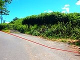大分県大分市の国有財産物件 821万円 土地 7,017m²