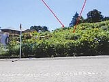 神奈川県足柄下郡湯河原町の競売物件 1,699万円 農地 2,806m²
