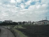 神奈川県三浦市の競売物件 268万円 農地 1,655m²