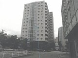 福井県福井市の競売物件 2,529万円 マンション 186m²