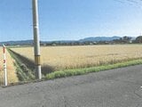 福井県坂井市の競売物件 251万円 農地 9,300m²