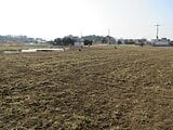 栃木県小山市の国税庁公売物件 7万円 農地 585m²