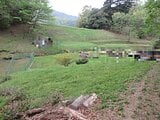 埼玉県秩父市の国税庁公売物件 14万円 農地 1,080m²