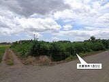 栃木県小山市の国税庁公売物件 41万円 農地 2,329m²