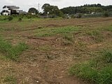 栃木県芳賀郡益子町の国税庁公売物件 51万円 農地 2,061m²