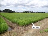 栃木県小山市の国税庁公売物件 55万円 農地 3,242m²