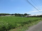 栃木県塩谷郡塩谷町の国税庁公売物件 439万円 土地 43,444m²