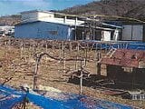 山梨県西八代郡市川三郷町の競売物件 821万円 戸建て 185m²