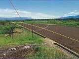 山梨県甲斐市の競売物件 19万円 農地 1,165m²