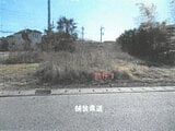 栃木県鹿沼市の競売物件 386万円 土地 634m²