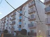 埼玉県坂戸市の競売物件 9万円 マンション 54m²