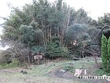 千葉県山武郡横芝光町の国税庁公売物件 8万円 土地 561m²