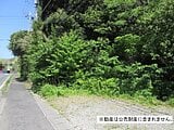 千葉県館山市の国税庁公売物件 95万円 農地 215m²