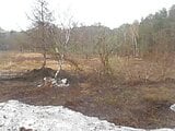 青森県青森市の競売物件 104万円 土地 3,500m²
