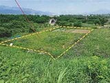 山梨県西八代郡市川三郷町の競売物件 62万円 農地 954m²