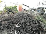大阪府八尾市の競売物件 370万円 土地 201m²