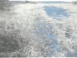 茨城県筑西市の競売物件 780万円 土地 264m²