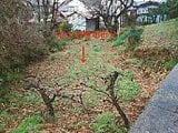 和歌山県橋本市の競売物件 17万円 農地 317m²