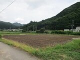 兵庫県丹波市の官公庁公売物件 9万円 農地 1,244m²