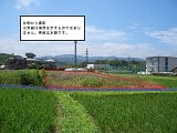 奈良県五條市の官公庁公売物件 106万円 農地 1,209m²