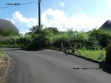 岡山県真庭市の官公庁公売物件 75万円 土地 1,895m²
