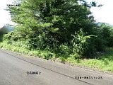 岡山県真庭市の官公庁公売物件 41万円 土地 1,747m²