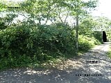 岡山県真庭市の官公庁公売物件 129万円 土地 2,139m²