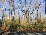 栃木県那須郡那須町の官公庁公売物件 16万円 土地 372m²