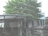 茨城県牛久市の競売物件 438万円 戸建て 103m²