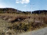 愛知県田原市の競売物件 29万円 農地 1,727m²