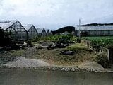 愛知県田原市の競売物件 17万円 農地 741m²
