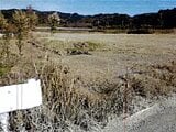 愛知県田原市の競売物件 16万円 農地 1,060m²