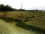 愛知県田原市の競売物件 43万円 農地 980m²