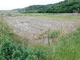 愛知県田原市の競売物件 44万円 農地 990m²
