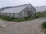 愛知県田原市の競売物件 87万円 農地 2,361m²