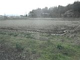 岩手県北上市の競売物件 5万円 農地 671m²