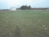 岩手県北上市の競売物件 31万円 農地 4,913m²