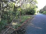 鹿児島県奄美市の競売物件 107万円 農地 10,230m²