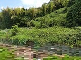 奈良県北葛城郡王寺町の国税庁公売物件 34万円 農地 429m²