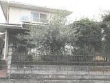 徳島県板野郡藍住町の競売物件 381万円 戸建て 99m²
